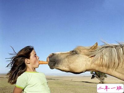 搞笑无厘头说说