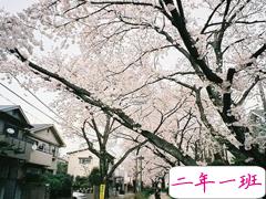 00后最伤感难过的个性说说：我们曾到过彼此的世界