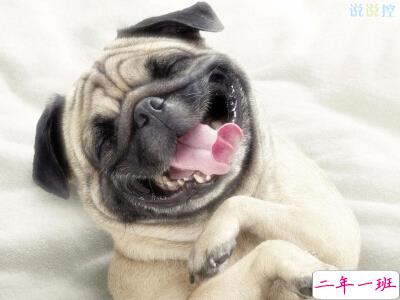 搞笑说说别人必赞