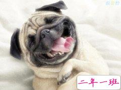 搞笑说说别人必赞：你现在补作业流的眼泪，是你浪的时候进的水