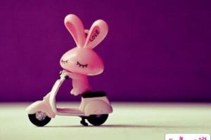 搞笑幽默的说说：想知道什么想要什么就色诱我，我就吃这套