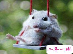 QQ空间恶搞说说：那些年错过的大雨，请务必在军训时还给我