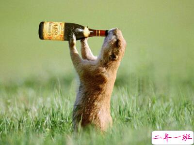 搞笑QQ说说大全