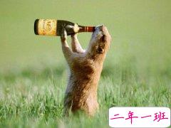 搞笑QQ说说大全：别再敬往事一杯酒了，往事都特么喝吐了