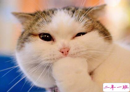 最新微信点开全文段子，朋友圈点开全文搞笑段子