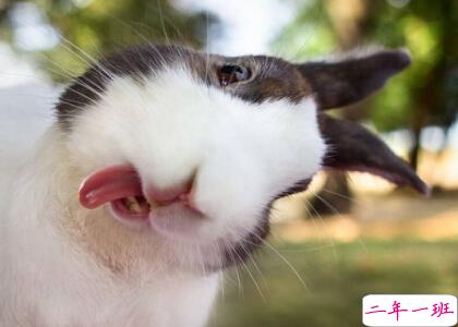 关于自恋的搞笑说说，超级自恋的空间说说