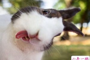 关于自恋的搞笑说说，超级自恋的空间说说