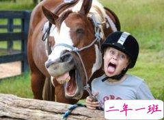 好玩的QQ空间说说：我没去过你的城市，但我刷过你那儿的题