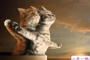 搞笑爱情说说心情短语，搞笑情感说说大全