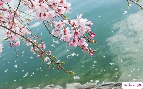 爱情说说我的心里话女生版：我的择偶标准，长得像你，性格像你，最好是你1