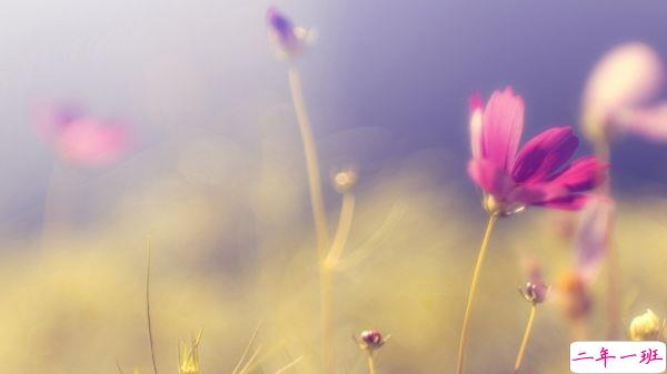 爱情说说我的心里话女生版：我的择偶标准，长得像你，性格像你，最好是你2