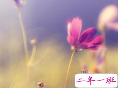 爱情说说我的心里话女生版：我的择偶标准，长得像你，性格像你，最好是你