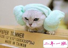 无厘头搞笑段子：不回你消息不是因为我高冷，而是因为我手冷