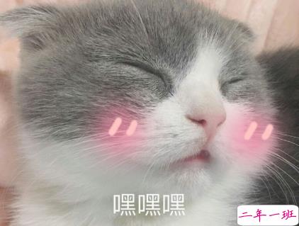 抖音里撩人的语录超甜最新 小猪佩奇你配我1