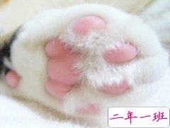 超雷人的经典句子：每个抖腿的人，心里都有一台缝纫机