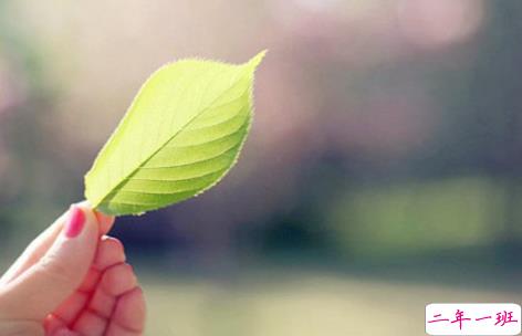 女生分手后非常霸气的说说：分手应该体面，谁都不要说抱歉1