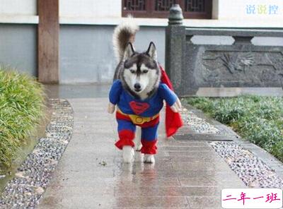 超级搞笑的QQ说说