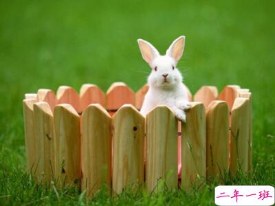 搞笑长说说大全，长点的搞笑QQ说说