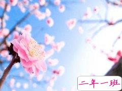 微信爱情说说：我还是很喜欢你，像深巷传来酒香，闻之即醉