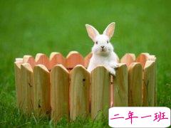 搞笑长说说大全，长点的搞笑QQ说说