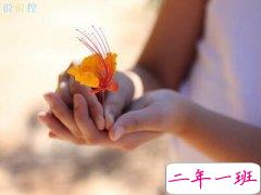 打动人心的爱情句子：我的眼里容不了一粒沙，却有整个你