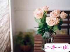 朋友圈爱情说说：我还是那么没出息，处处留意你的消息