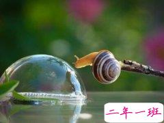 经典搞笑说说大全:我是奔跑的五花肉,我为自己带盐