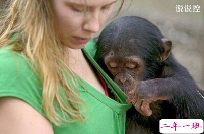 有点黄的QQ说说，有点色的空间说说大全2