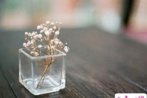 爱情分手的说说，分手爱情说说心情短语