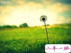 感悟爱情的说说：暧昧不清的关系，无非就是想占有，又不想负责