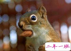 雷人蛋疼的说说：不要当着苍蝇的面拉屎，它会觉得你是在炫富