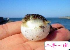 搞笑QQ说说大全：月考是会呼吸的痛，它活在我身上每个角落