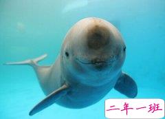 特别逗的说说：你连作弊都不会，为师怎么放心让你步入社会