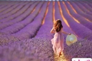 爱情说说幸福暖心，爱情说说幸福的句子