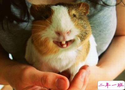 让人笑喷的句子2