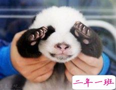 萌萌哒的说说：我的钱包就像个洋葱，每次打开都叫我泪流满面