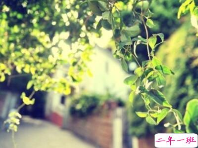 关于爱情的说说，关于爱情的句子