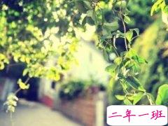 关于爱情的说说，关于爱情的句子