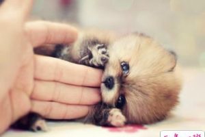 无厘头的句子：看到你我连食欲都没了，还谈什么性欲？