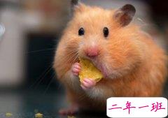 比较萌的说说大全:总觉得自己的性格不适合上班,只适合拿工资