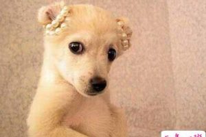 有趣的QQ说说大全：帅有个屁用，到头来还不是被卒吃掉