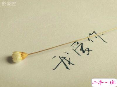 爱情说说一辈子