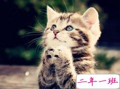 有关于期末考试的空间说说,期末考试搞笑说说大全