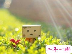 爱情的句子说说心情：你的名字那么普通，也就我听到才会心头一震