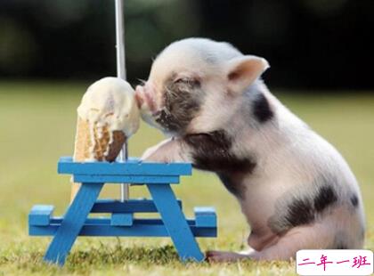 一句话经典搞笑语录1