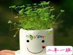 QQ空间幽默说说：每次理发都是一场赌博，可为什么我从来没赢过