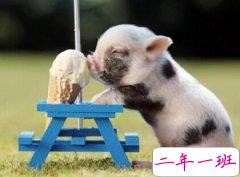 一句话经典搞笑语录：老师我们能换一种授课方式吗？比如，托梦