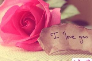 有关情人节的说说，情人节说说大全