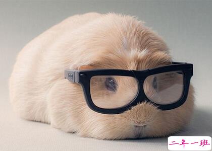 关于减肥的QQ说说，有关减肥的搞笑空间说说1