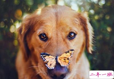 QQ空间搞笑说说2